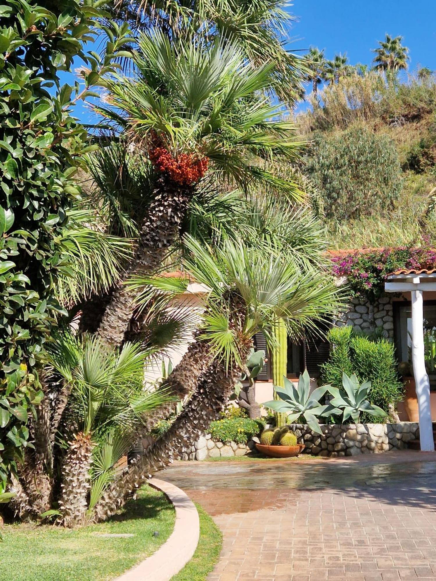 Hotel Villaggio Cala Di Volpe Capo Vaticano Eksteriør bilde