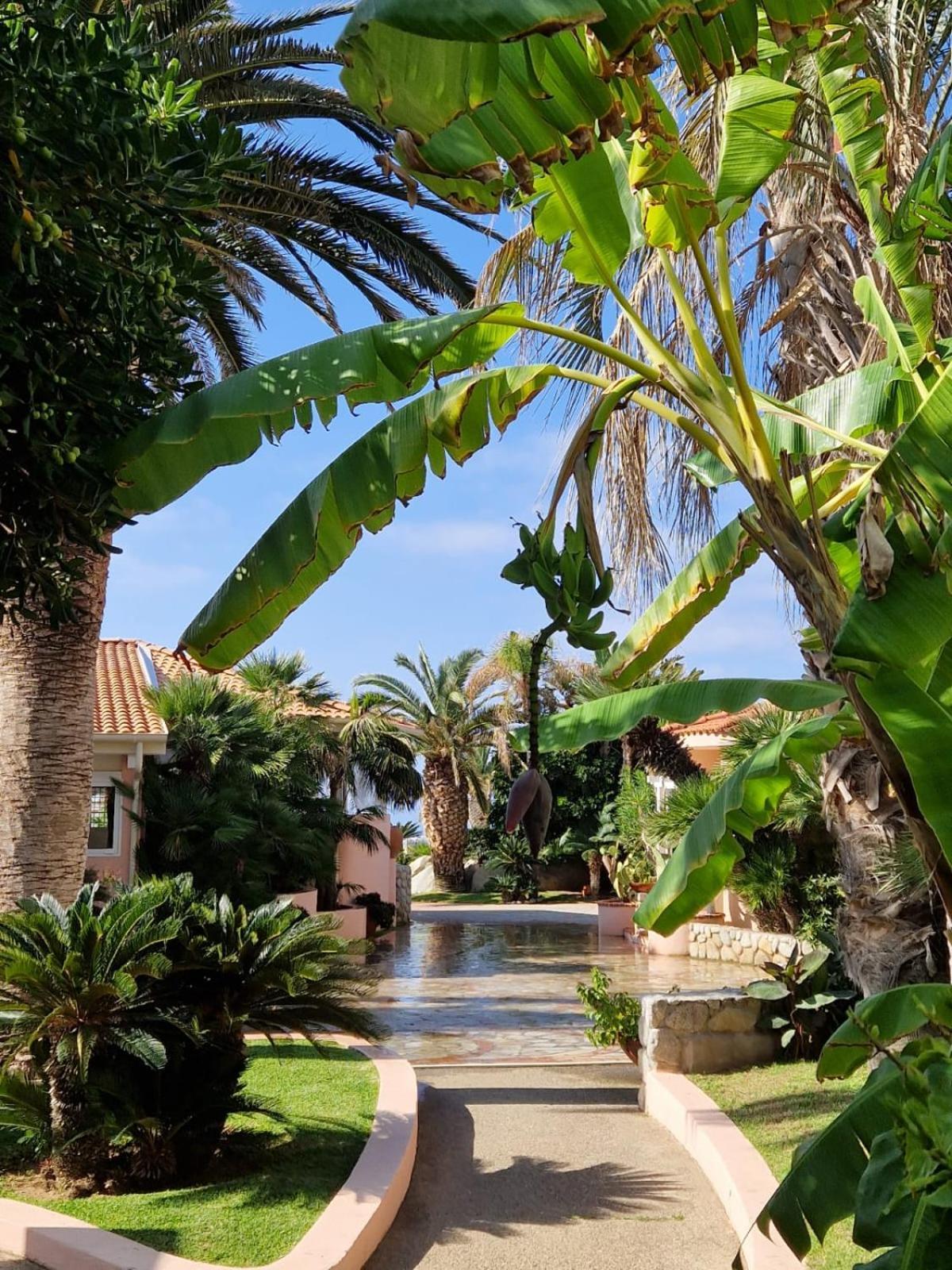 Hotel Villaggio Cala Di Volpe Capo Vaticano Eksteriør bilde