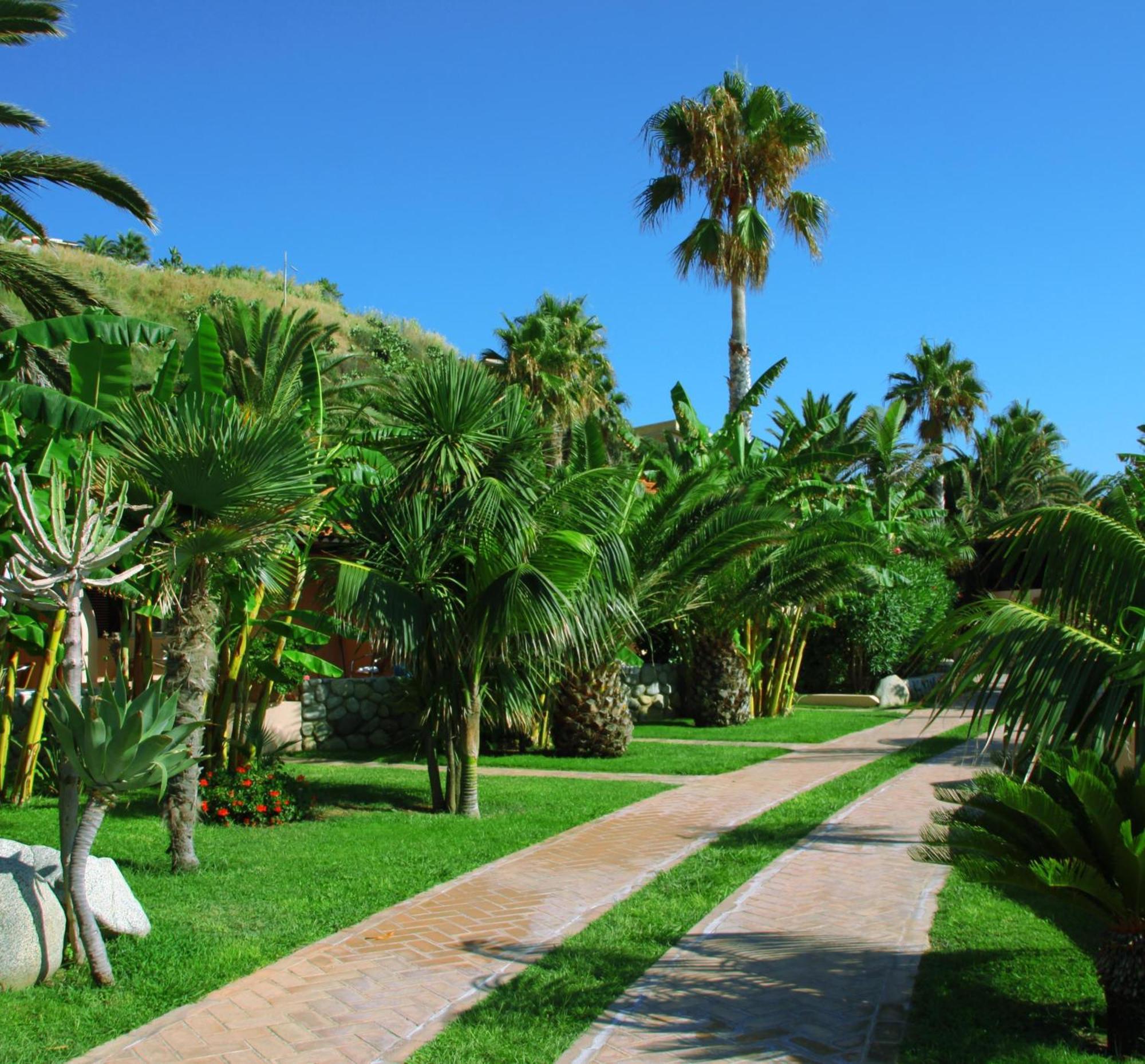 Hotel Villaggio Cala Di Volpe Capo Vaticano Eksteriør bilde